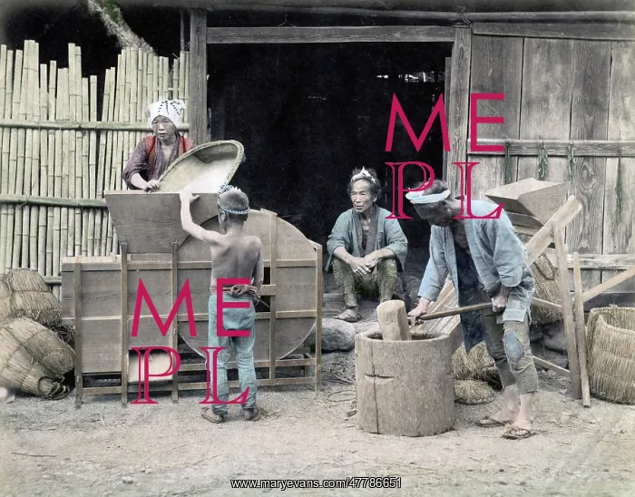  : c.1880's Japan - cleaning and pounding rice