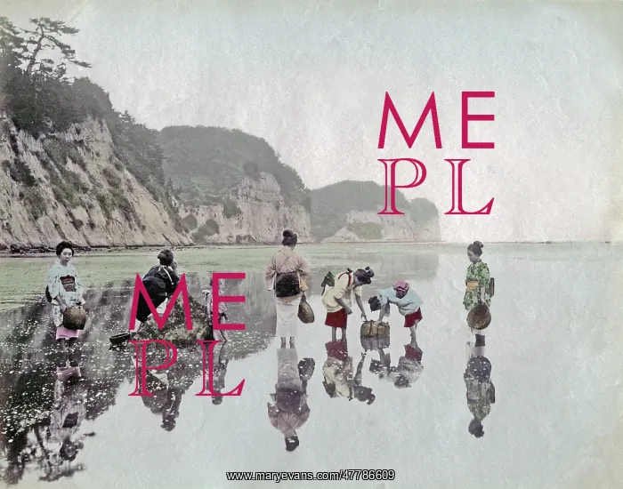  : c.1880s Japan - picking shellfish on the shore