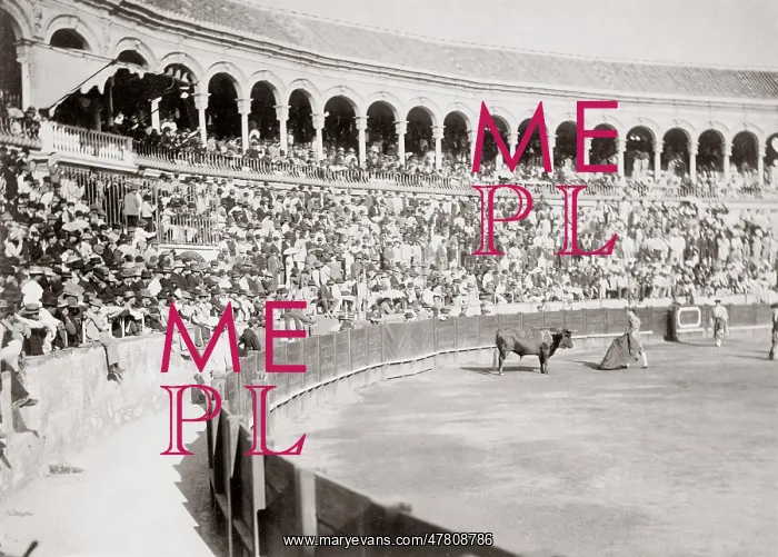  : c.1880's - Sapin bull fighting