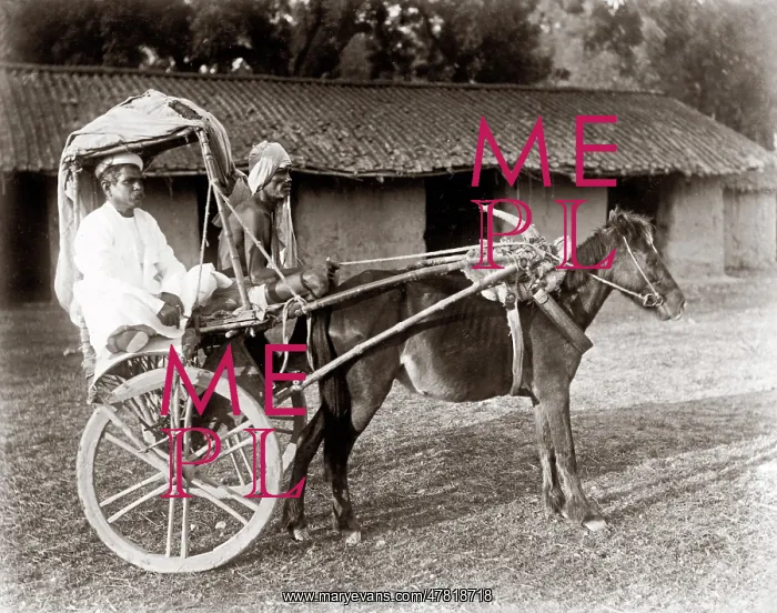  : C.1890s India - pony and trap hackney carriage cab