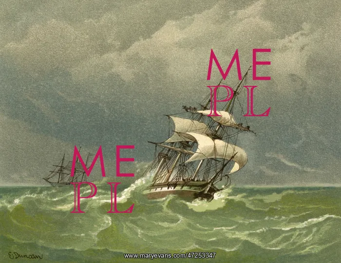  : C19 BARQUE