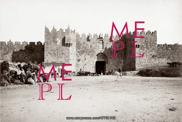 : c.1900 Palestine Israel - Damascus Gate Jerusalem : c.1900 Palestine Israel - Damascus Gate Jerusalem