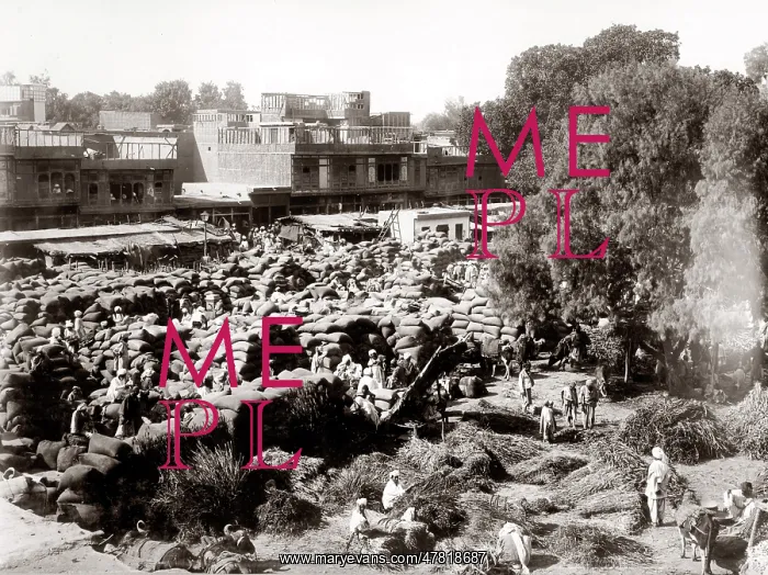: c.1910 / 1920 market India - possibly Peshawar : c.1910 / 1920 market India - possibly Peshawar