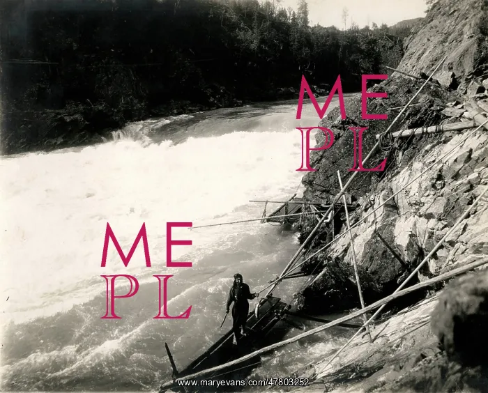 : c.1920's fish traps on a raging river in Canada : c.1920's fish traps on a raging river in Canada
