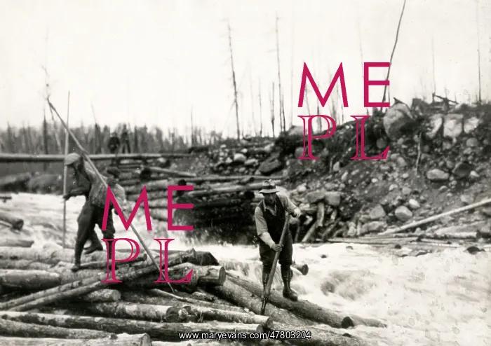 : c.1920's logging in Canada, men guiding logs down a river : c.1920's logging in Canada, men guiding logs down a river