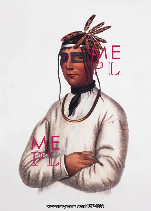 : Caa-Tou-See - Ojibway - Native American : Caa-Tou-See - Ojibway - Native American