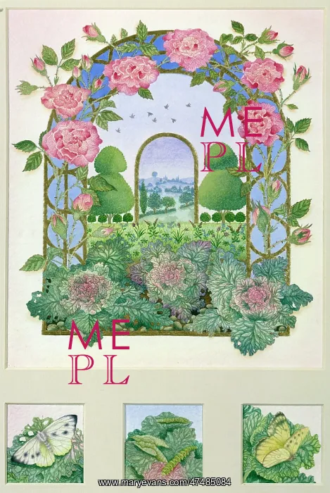 : Cabbages and Rose Arch : Cabbages and Rose Arch