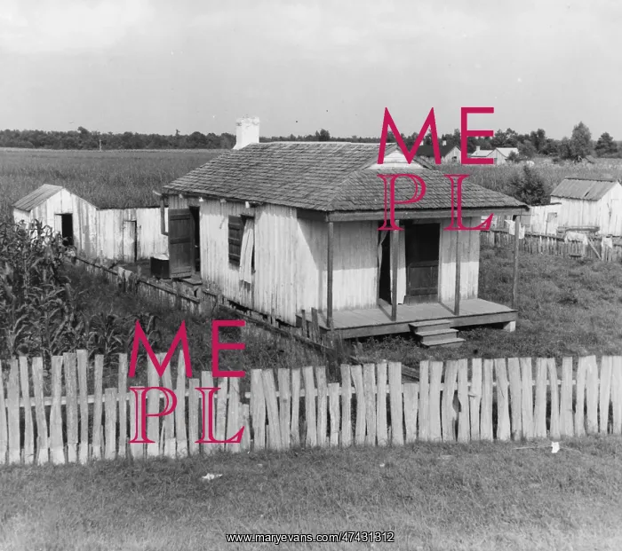  : Cabin of sugarcane worker. Bayou La Fourche, Louisiana