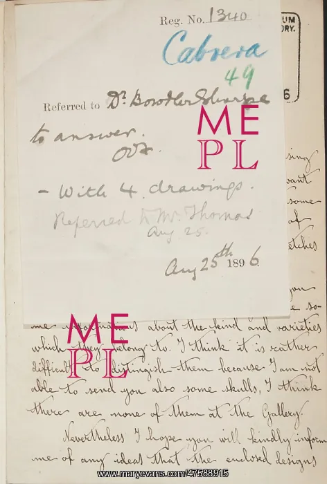 : Cabrera-Thomas letter - page 1 : Cabrera-Thomas letter - page 1