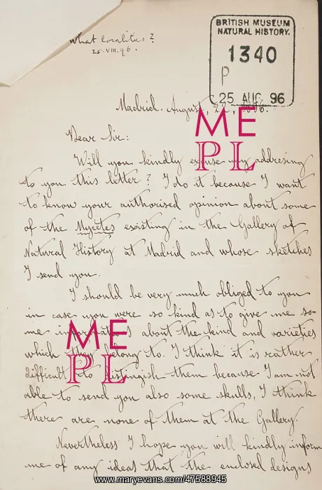 : Cabrera-Thomas letter - page 2 : Cabrera-Thomas letter - page 2