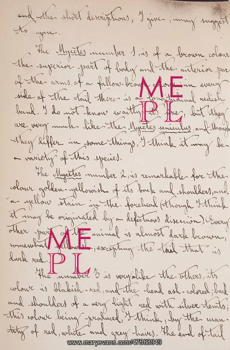  : Cabrera-Thomas letter - page 3