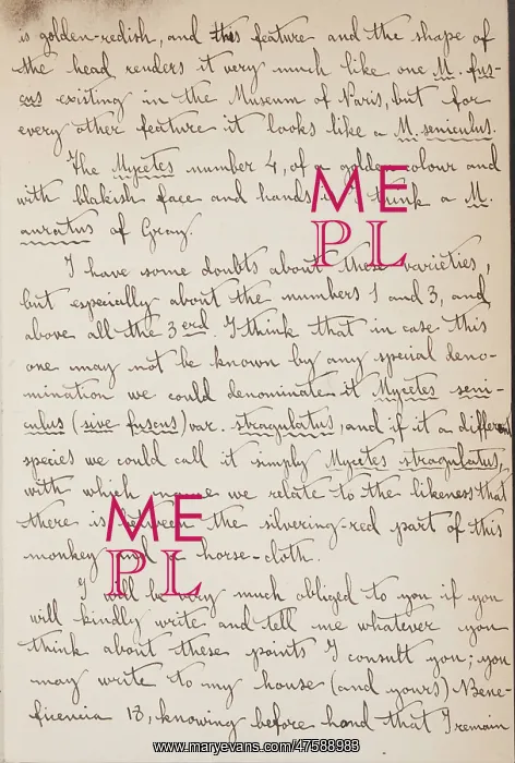 : Cabrera-Thomas letter - page 4 : Cabrera-Thomas letter - page 4