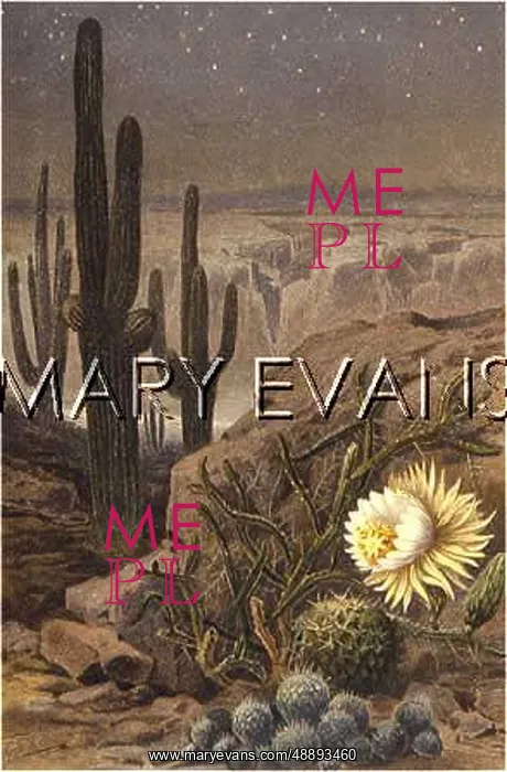 : CACTUS / CEREUS NYCTICALUS : CACTUS / CEREUS NYCTICALUS