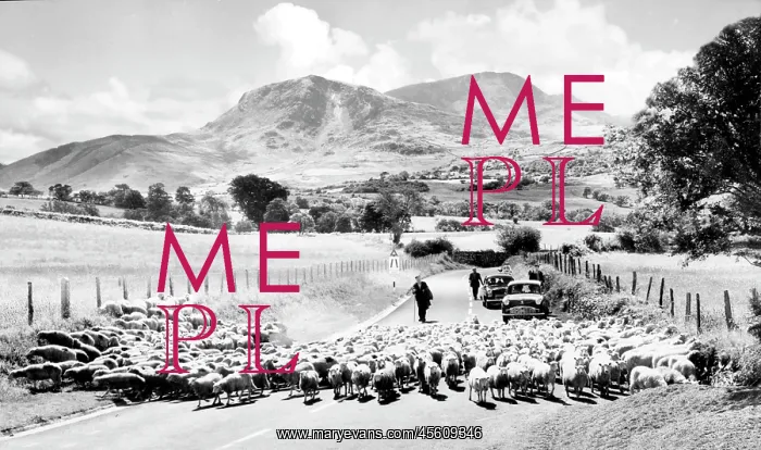  : Cadair Idris, from Cross Foxes c1960