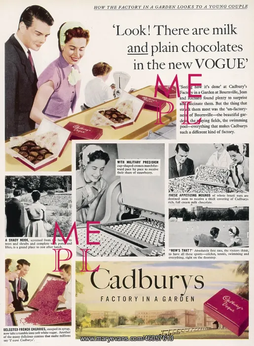 : Cadburys advertisement, 1954 : Cadburys advertisement, 1954
