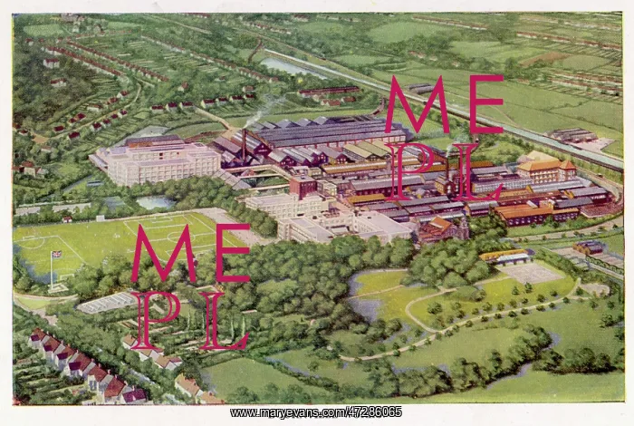 : CADBURY'S / FROM ABOVE : CADBURY'S / FROM ABOVE