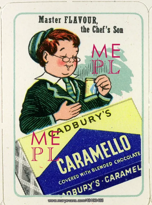  : Cadbury's Happy Families - Master Flavour