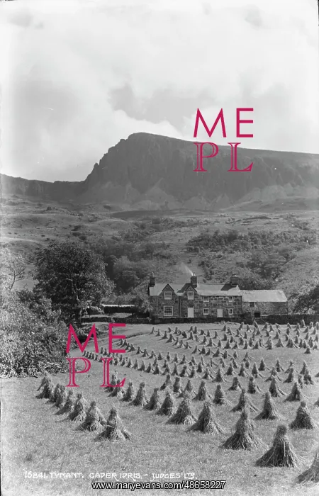 : Cader Idris Farm : Cader Idris Farm