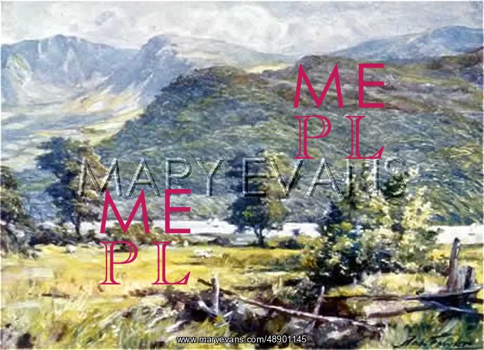  : CADER IDRIS / WALES 1905