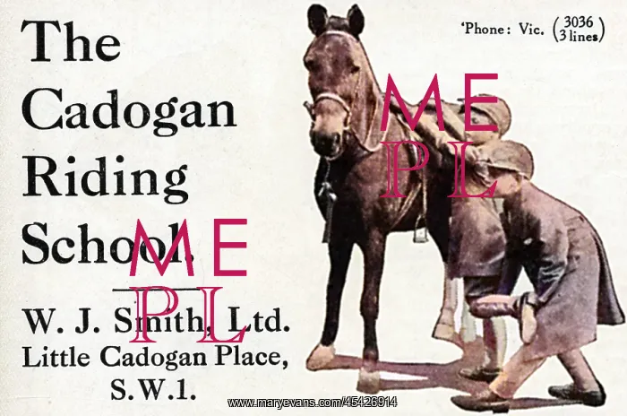 : Cadogan Riding School advertisement : Cadogan Riding School advertisement