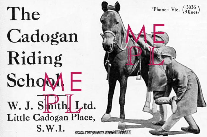: Cadogan Riding School advertisement : Cadogan Riding School advertisement