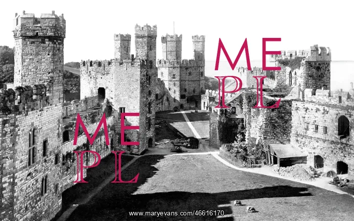  : Caernarfon, the Castle 1906
