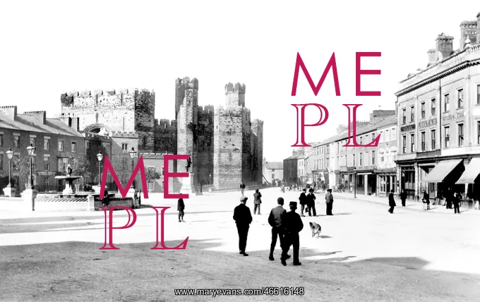  : Caernarfon, Castle Square 1906