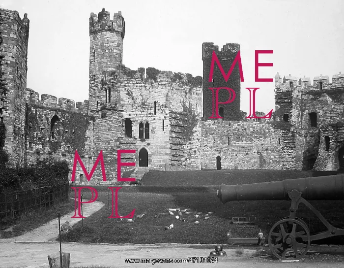  : Caernarvon Castle