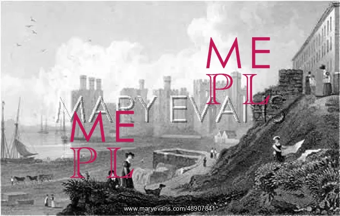  : CAERNARVON CASTLE C1830