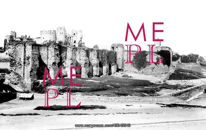  : Caerphilly, the Castle 1893