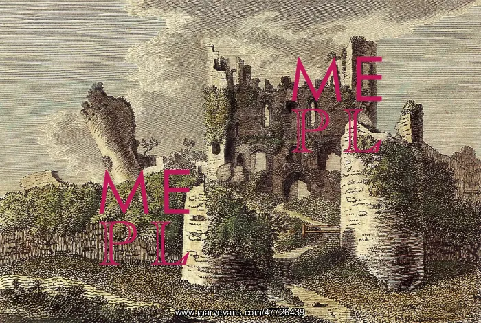  : Caerphilly Castle