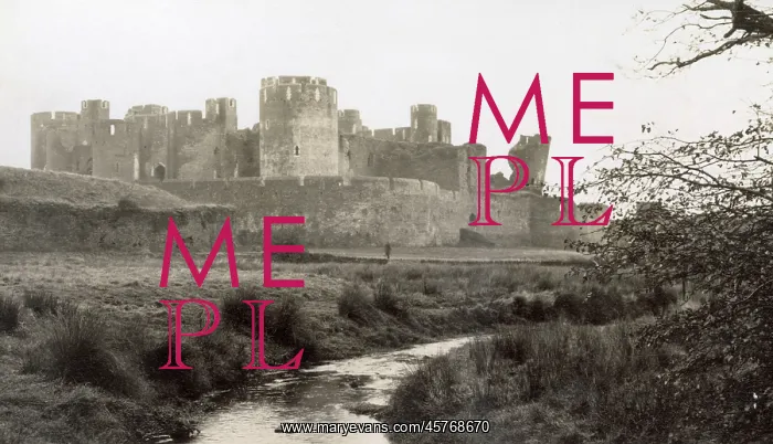 : Caerphilly Castle, Caerphilly, South Wales : Caerphilly Castle, Caerphilly, South Wales