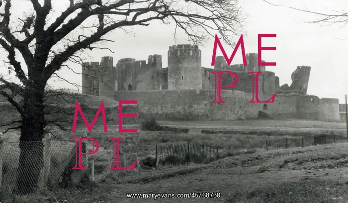 : Caerphilly Castle, Caerphilly, South Wales : Caerphilly Castle, Caerphilly, South Wales