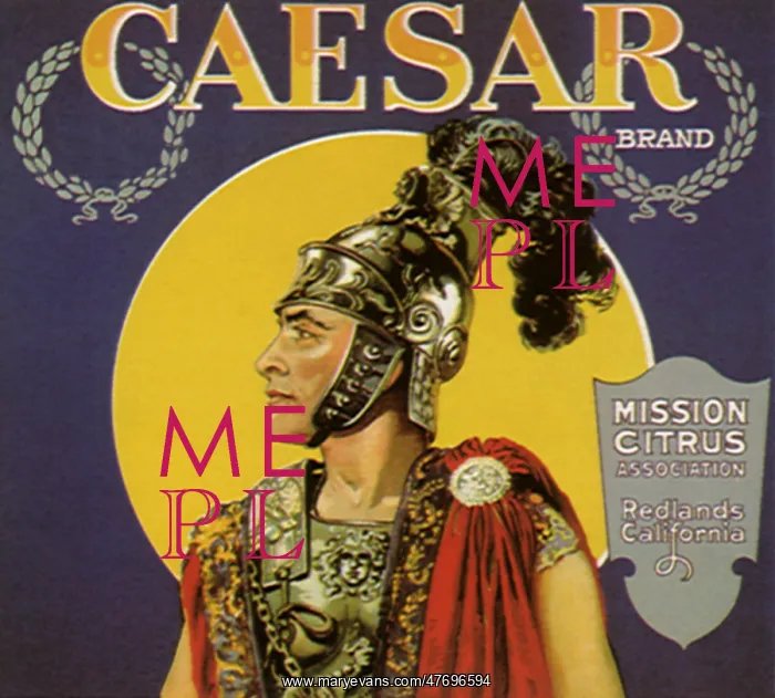  : Caesar in Armor, Helmet