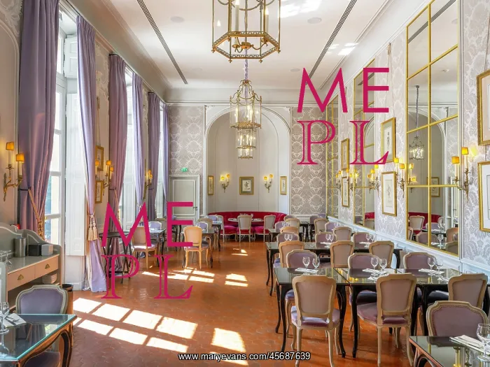 : Cafe, Hotel de Caumont, Aix-en-Provence : Cafe, Hotel de Caumont, Aix-en-Provence