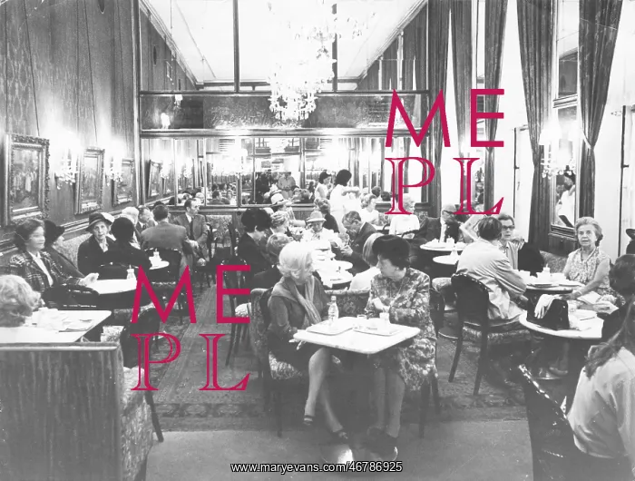 : Cafe Sacher in Vienna : Cafe Sacher in Vienna