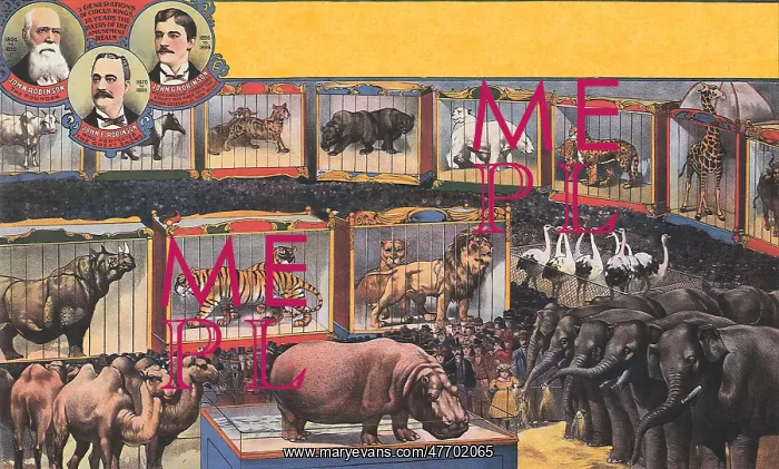 : Caged Circus Animals : Caged Circus Animals