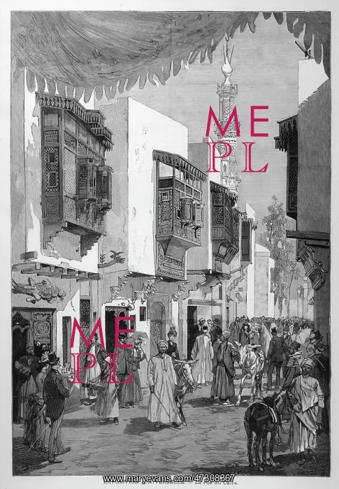: CAIRO STREET / EXHIBITION : CAIRO STREET / EXHIBITION
