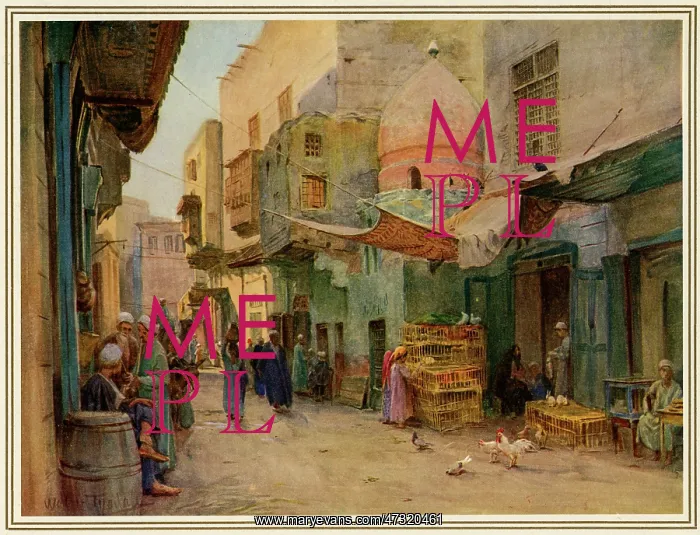  : Cairo Street Scene