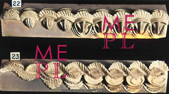 : Cake Border and Side Scroll Designs : Cake Border and Side Scroll Designs