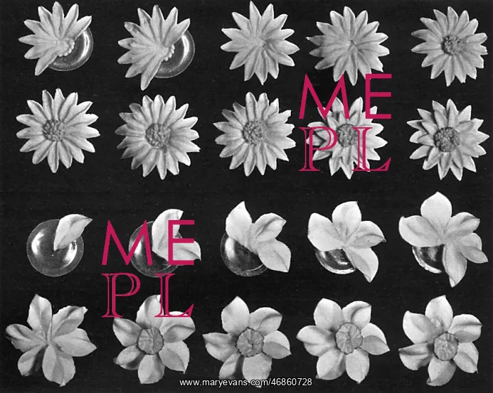 : Cake design, flower making, Daisy Details : Cake design, flower making, Daisy Details
