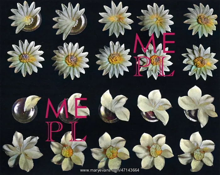 : Cake design, flower making, Daisy Details : Cake design, flower making, Daisy Details