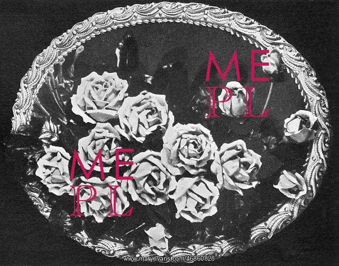 : Cake design, flower making. Marzipan Rose Plaque : Cake design, flower making. Marzipan Rose Plaque