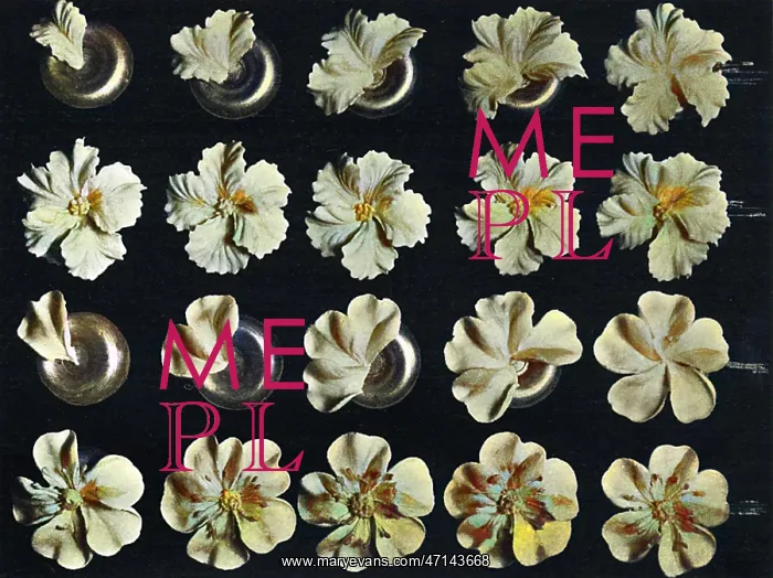 : Cake design, flower making, Petunia, Wild Rose : Cake design, flower making, Petunia, Wild Rose