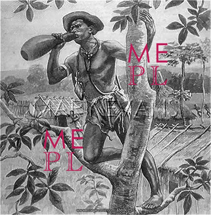  : Calabash as a loud hailer