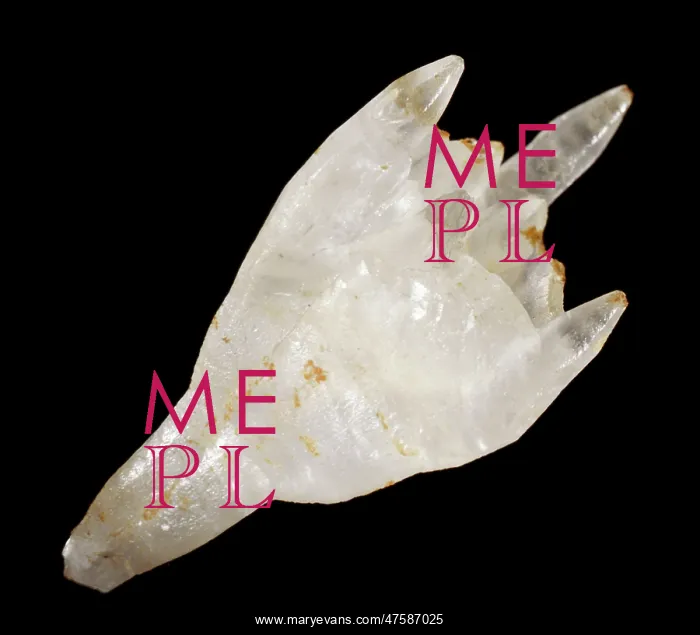 : Calcite. A specimen of calcite, displaying a distorted hollow crystal with : Calcite. A specimen of calcite, displaying a distorted hollow crystal with