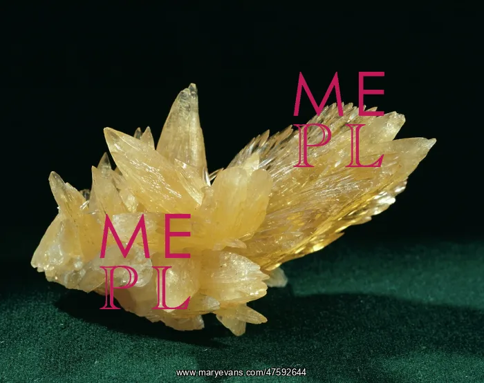 : Calcite. Honey-coloured crystals of scalenohedral dog-tooth calcite : Calcite. Honey-coloured crystals of scalenohedral dog-tooth calcite