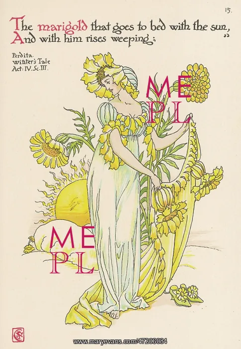  : Calendula Officinalis