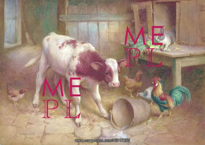 : Calf, cockerel, hens and rabbit : Calf, cockerel, hens and rabbit