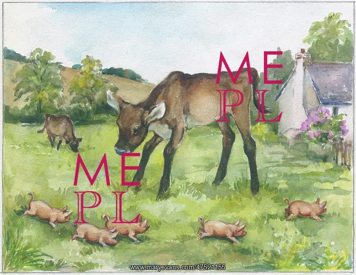 : Calf looking at five piglets : Calf looking at five piglets